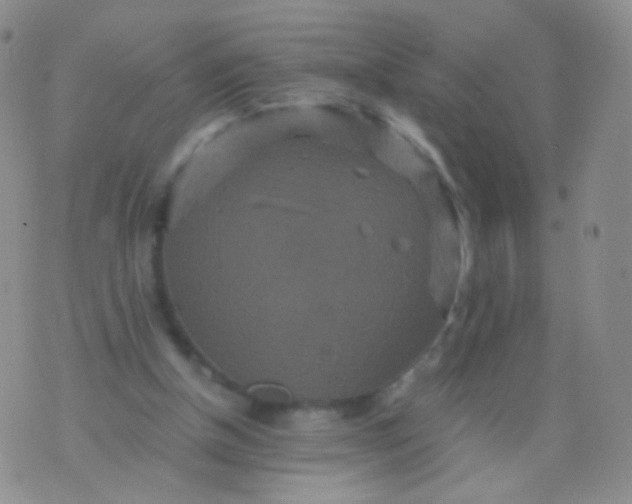 X0000076270154200610122304