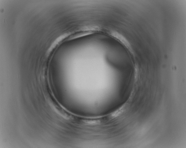 X0000076270155200610122304