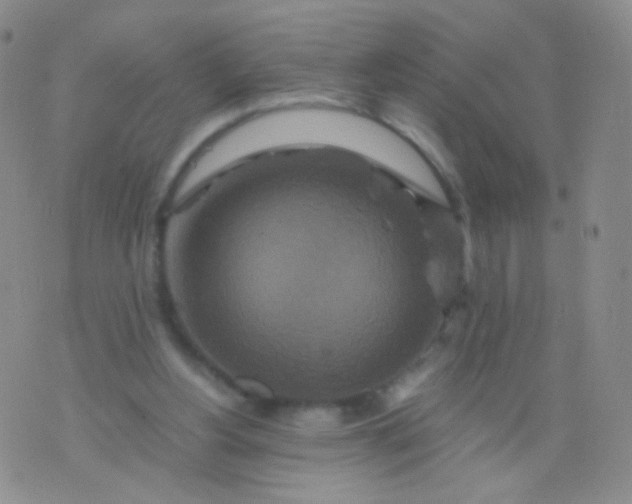 X0000076270156200610122304