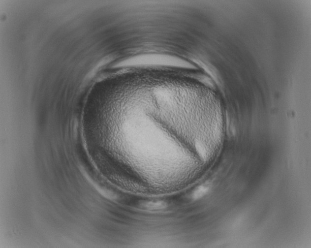 X0000076270157200610122304