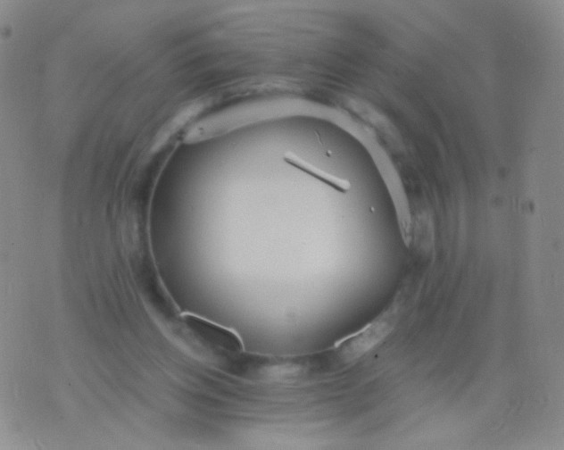 X0000076270158200610122304