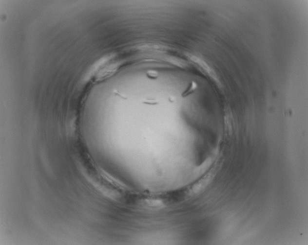 X0000076270159200610122304