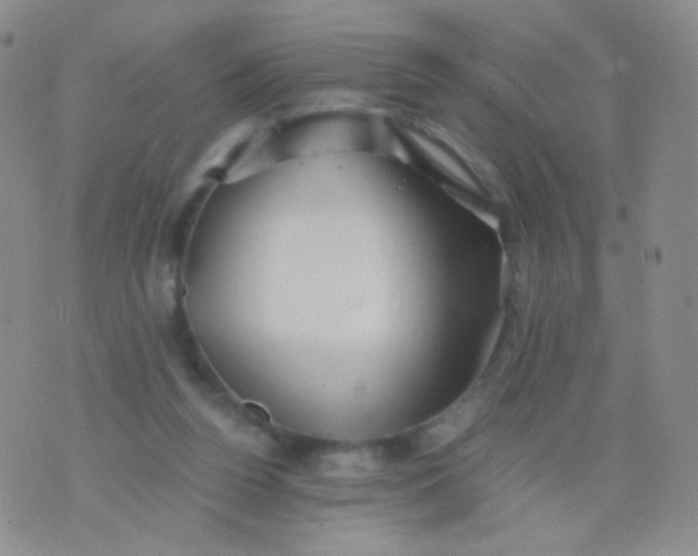 X0000076270160200610122304