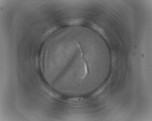 X0000076270161200610122304