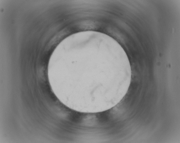 X0000076270162200610122304