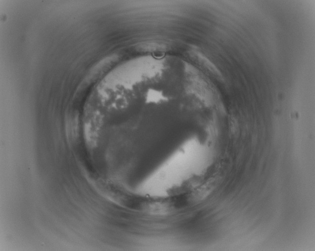 X0000076270163200610122304