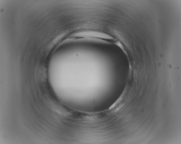 X0000076270164200610122304