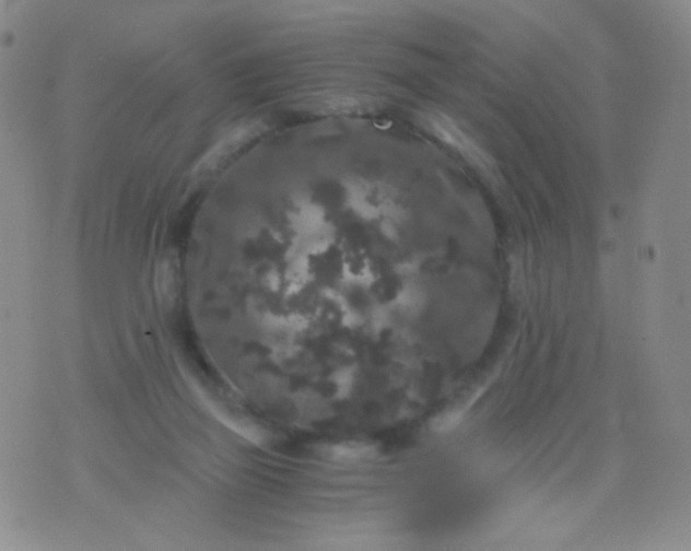 X0000076270165200610122304