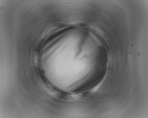 X0000076270166200610122304