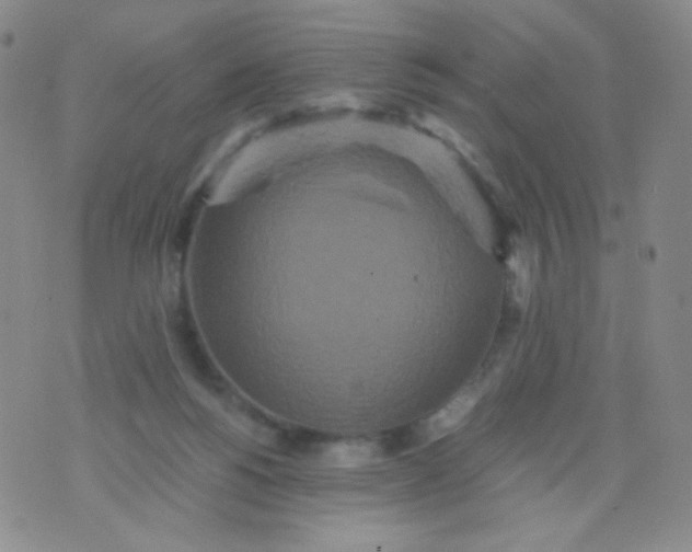 X0000076270168200610122304