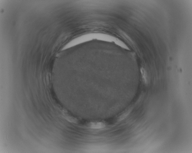 X0000076270169200610122304