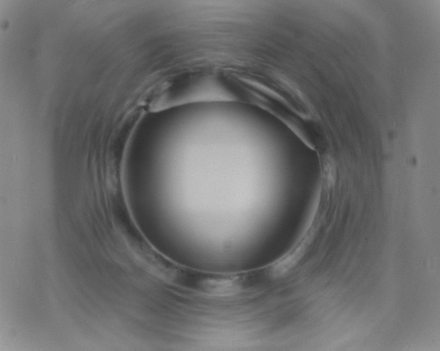 X0000076270170200610122304