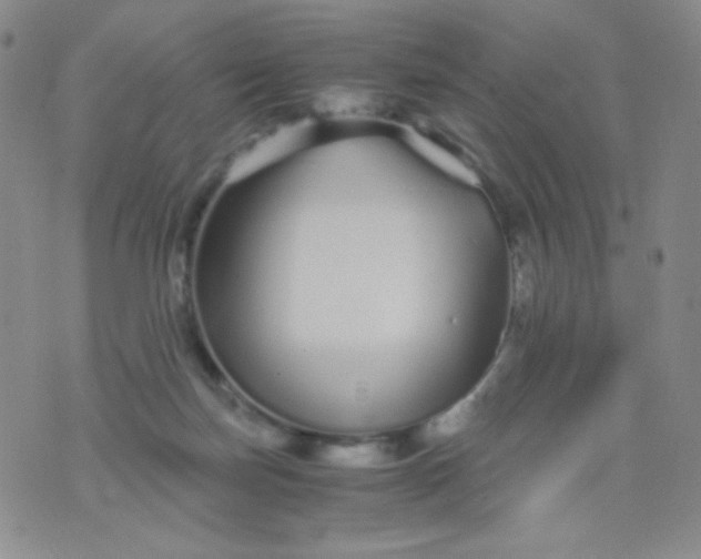 X0000076270171200610122304