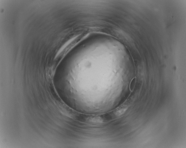 X0000076270173200610122304