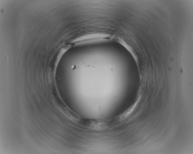 X0000076270174200610122304