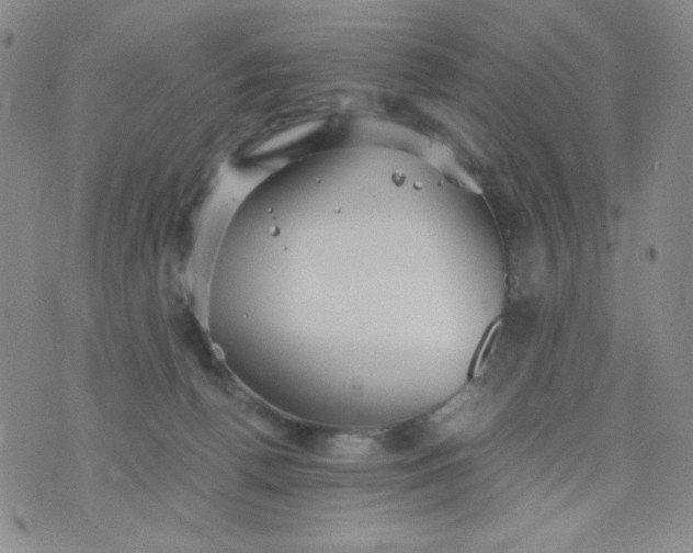 X0000076270176200610122304