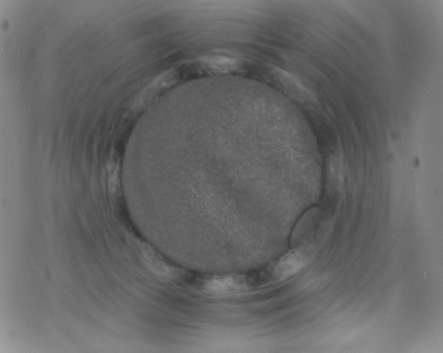 X0000076270177200610122304