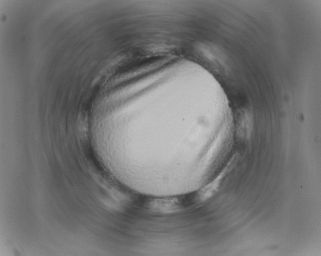 X0000076270179200610122304