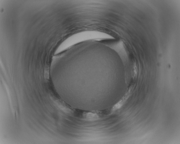 X0000076270180200610122304