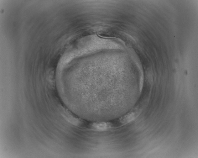 X0000076270181200610122304