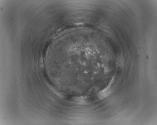 X0000076270182200610122304