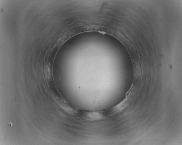 X0000076270183200610122304