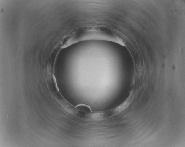 X0000076270184200610122304