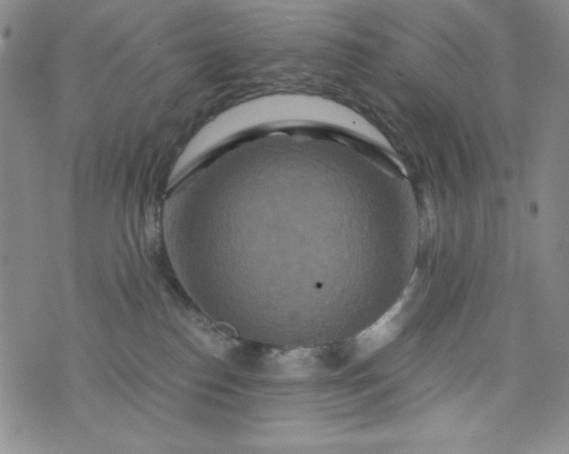 X0000076270186200610122304