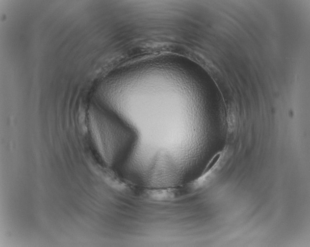 X0000076270187200610122304