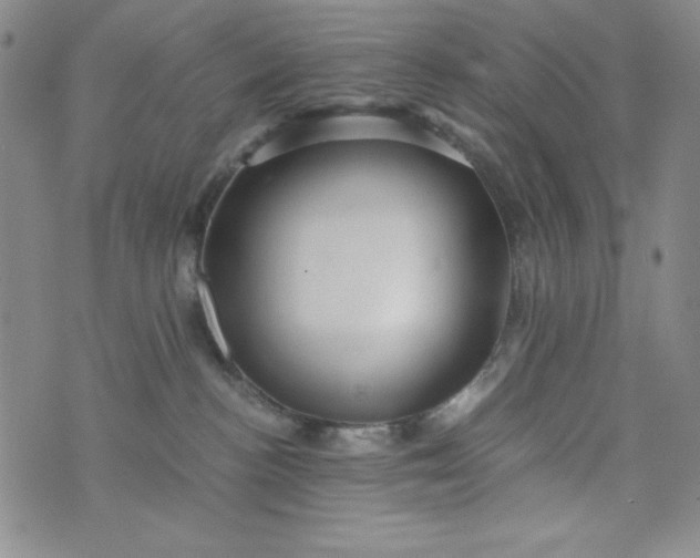 X0000076270188200610122304