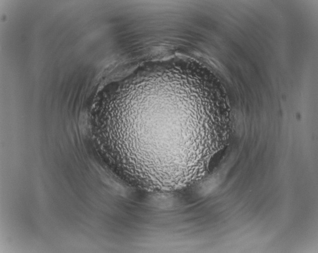 X0000076270189200610122304