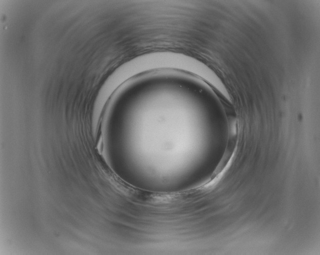 X0000076270190200610122304