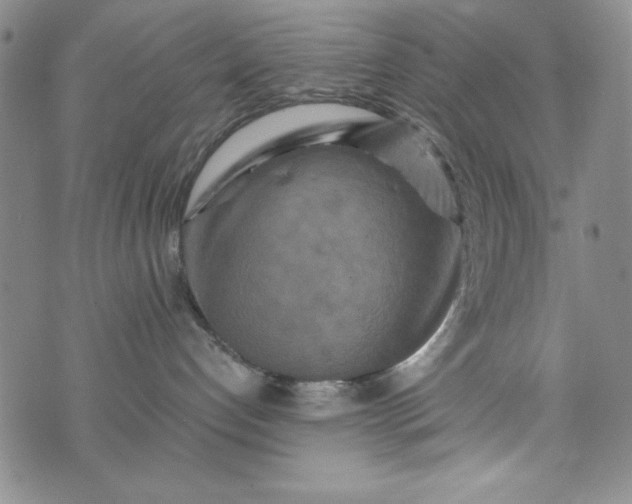 X0000076270192200610122304