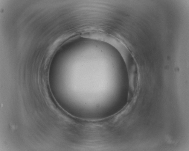 X0000076270193200610122303