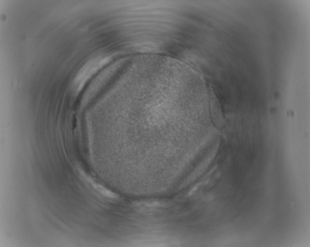 X0000076270194200610122303