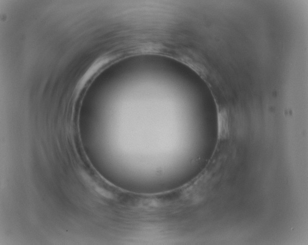 X0000076270195200610122303