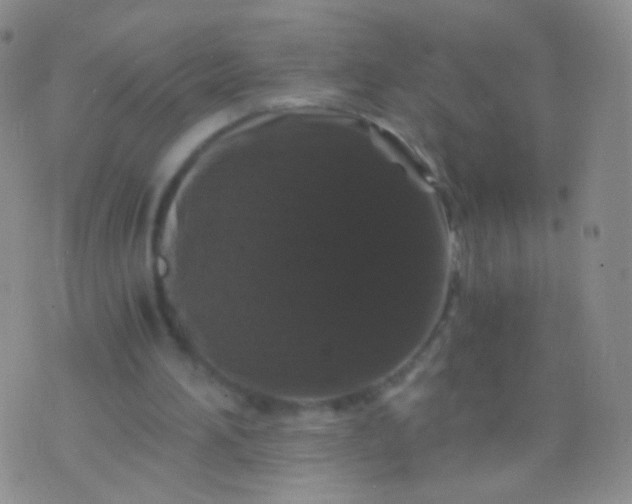 X0000076270196200610122303