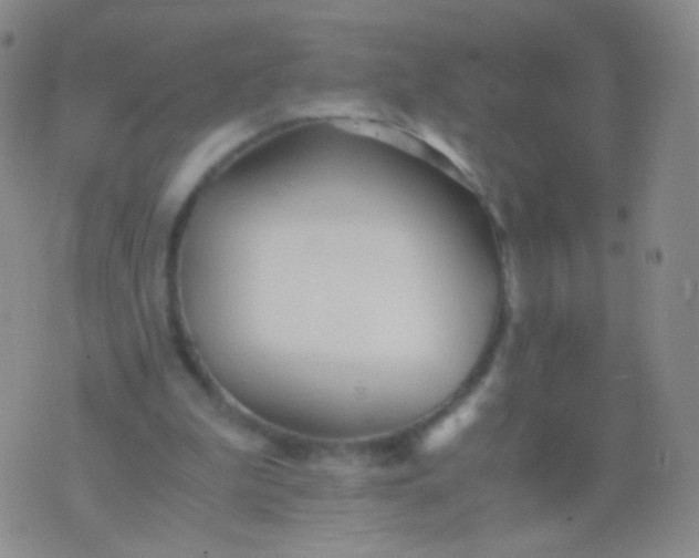 X0000076270199200610122303