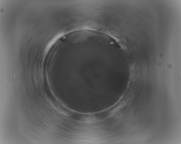 X0000076270200200610122303