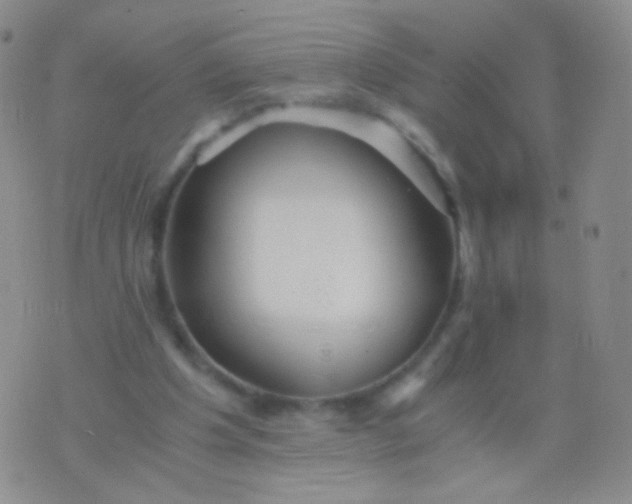 X0000076270201200610122303