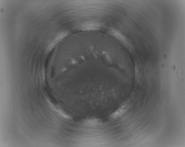 X0000076270202200610122303