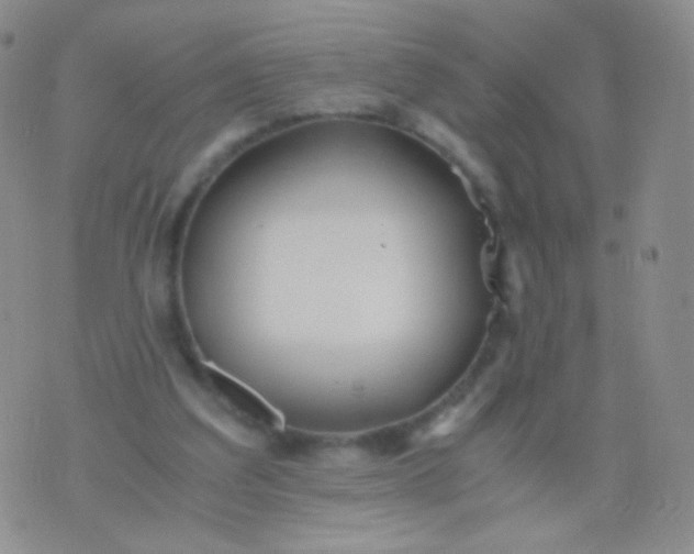 X0000076270203200610122303