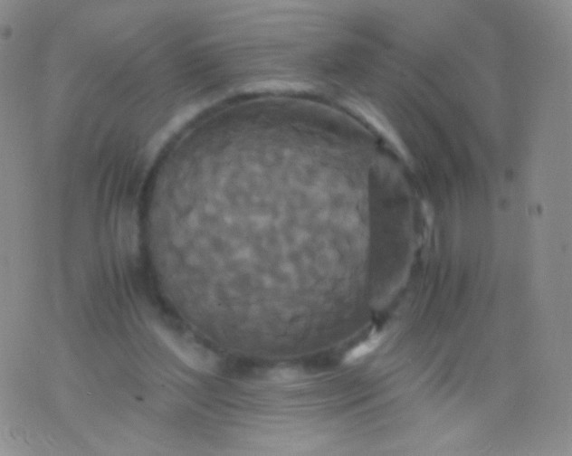 X0000076270204200610122303