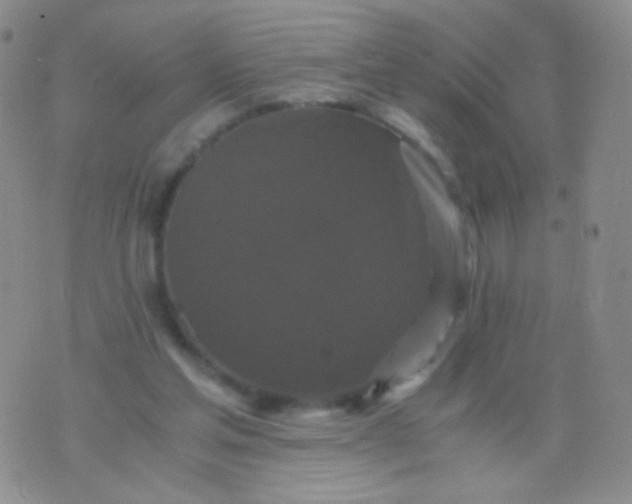 X0000076270205200610122303