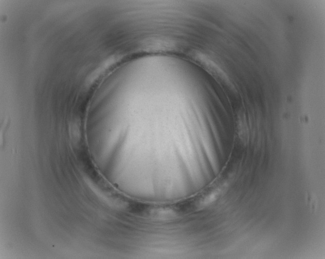 X0000076270208200610122303