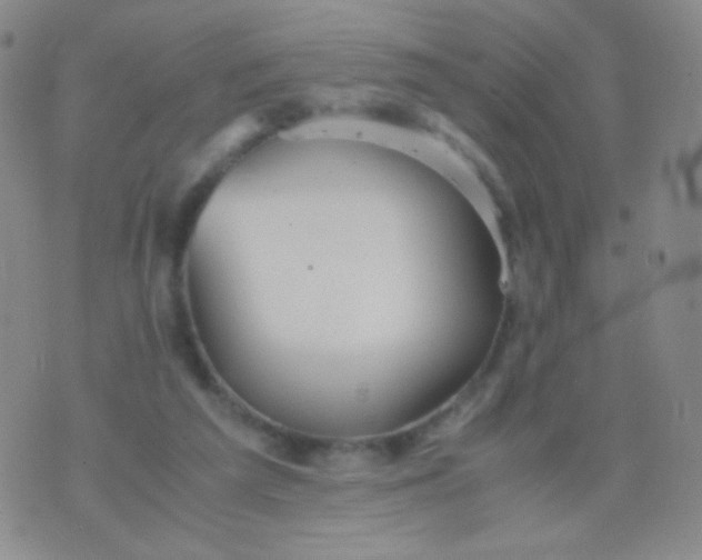 X0000076270209200610122303