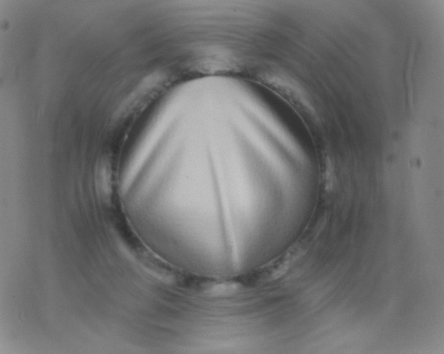 X0000076270210200610122303