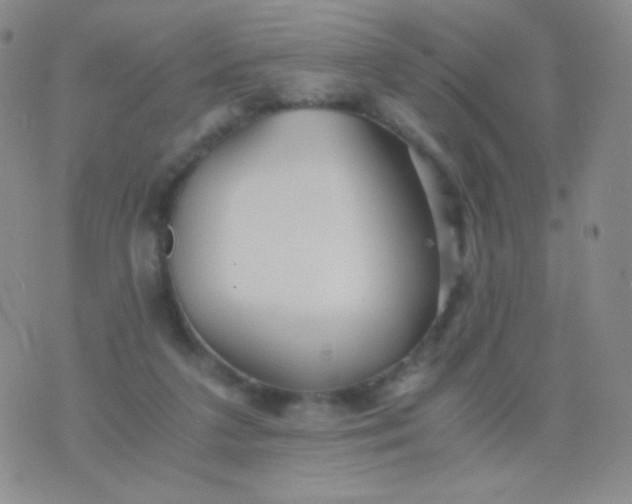 X0000076270211200610122303