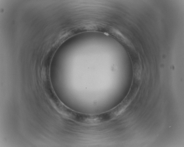 X0000076270213200610122303