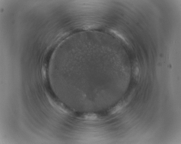 X0000076270214200610122303